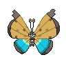 Vivillon Rivier